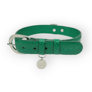 Collar para perro en cuero verde serpiente