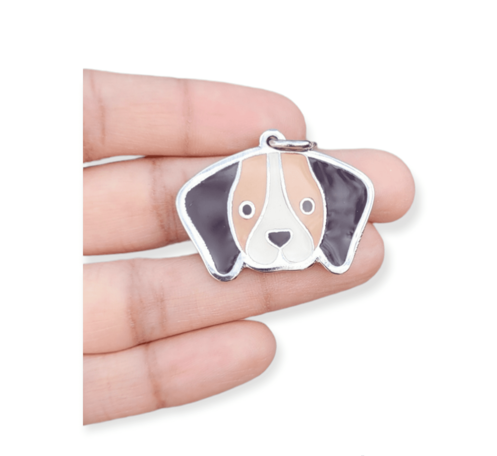 Placa de identificación Beagle