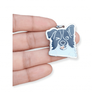 Placa de identificación Border Collie
