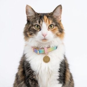 Collar antiahogo para gato en cuero unicornio
