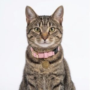 Collar antiahogo para gato en cuero durazno