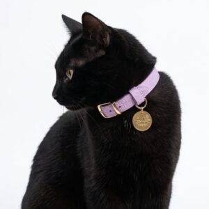 Collar antiahogo para gato en cuero lila granulado