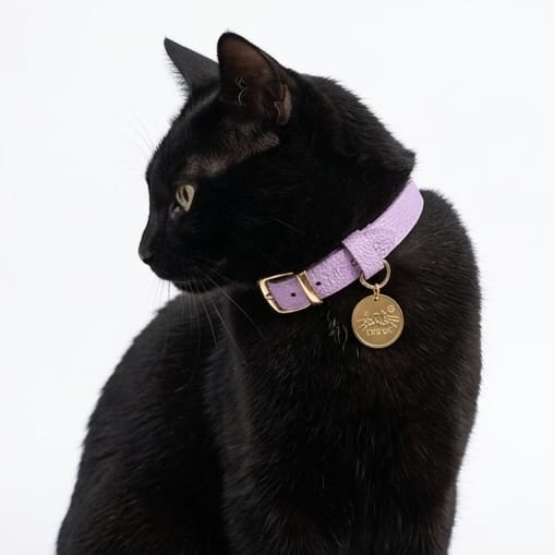 Collar antiahogo para gato en cuero lila granulado