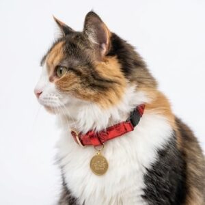 Collar antiahogo para gato en cuero rojo metalizado