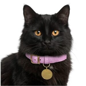 Collar antiahogo para gato en cuero rosado