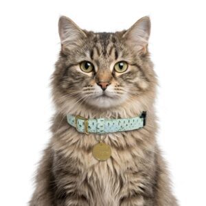 Collar antiahogo para gato en cuero verde agua