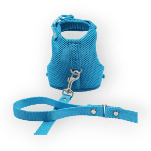 Pechera Para Gato, azul enérgico