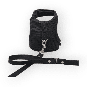Pechera Para Gato, negra