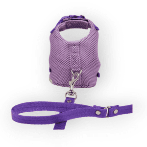 Pechera Para Gato, Lila