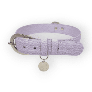 Collar para perro en cuero lila rocoso