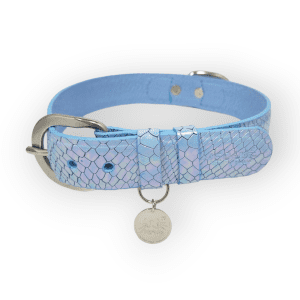 Collar para perro en cuero azul tornasol